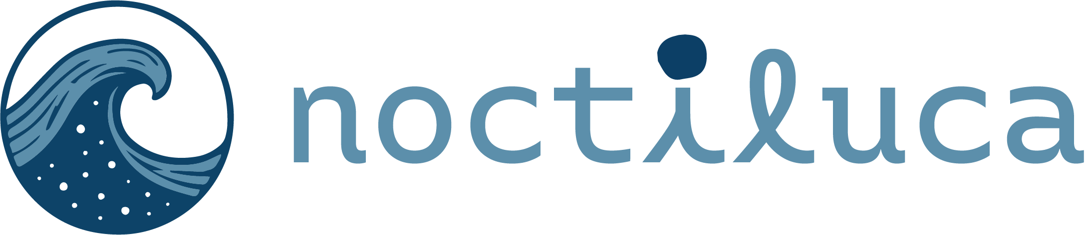 logo Noctiluca