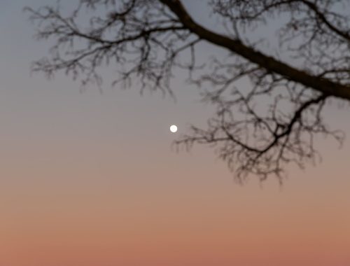 lluna plena-1
